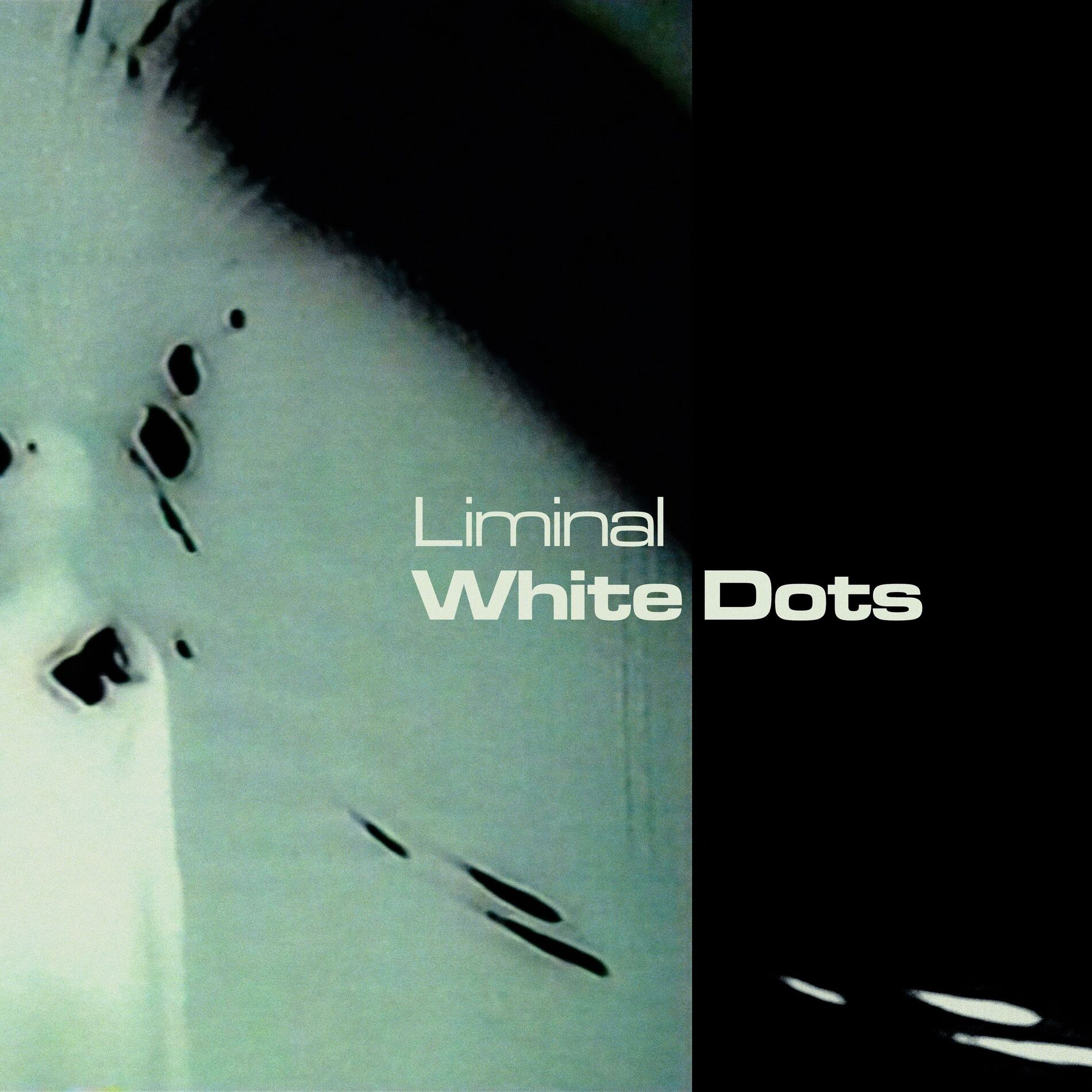 Album cover of White Dots