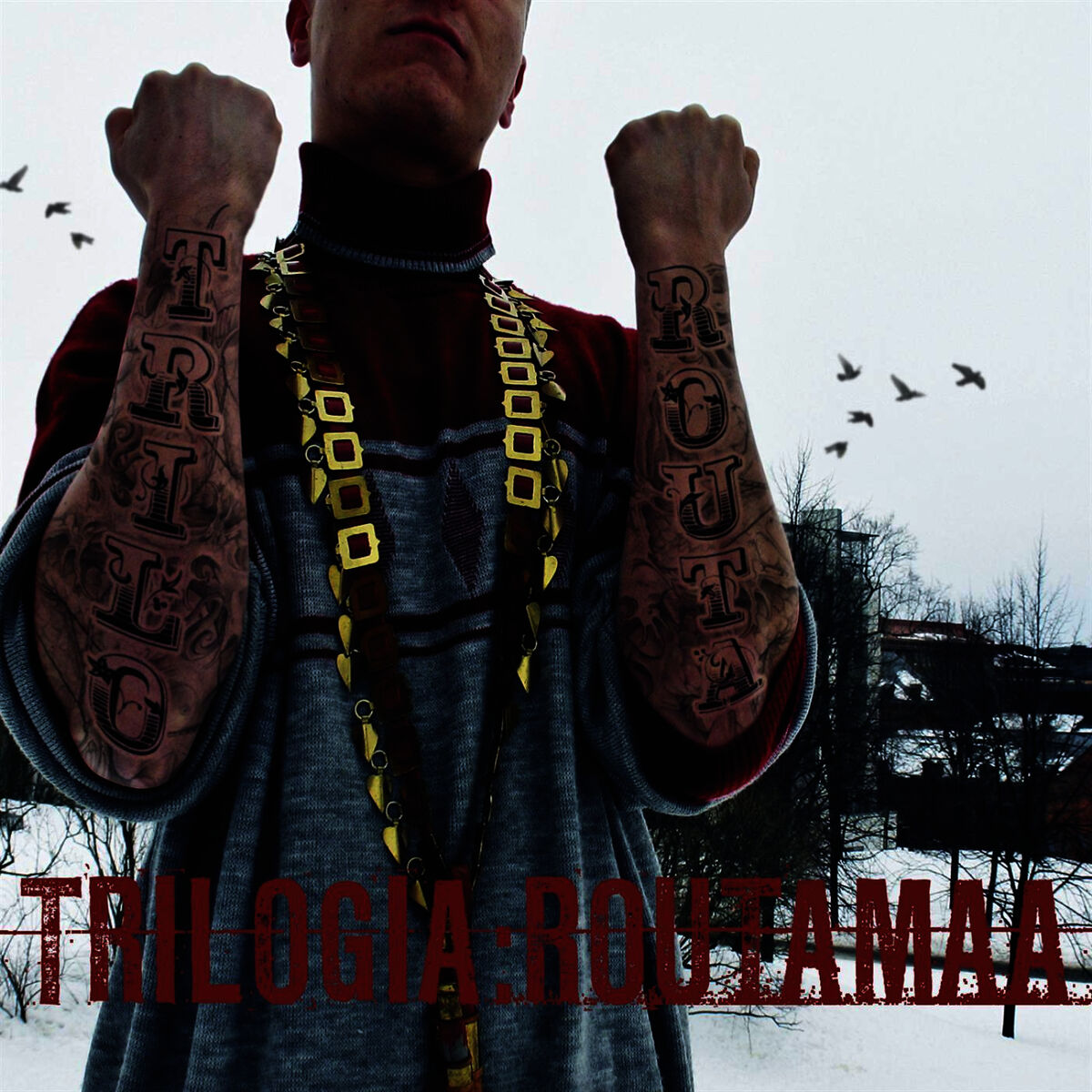 Album cover of Routamaa