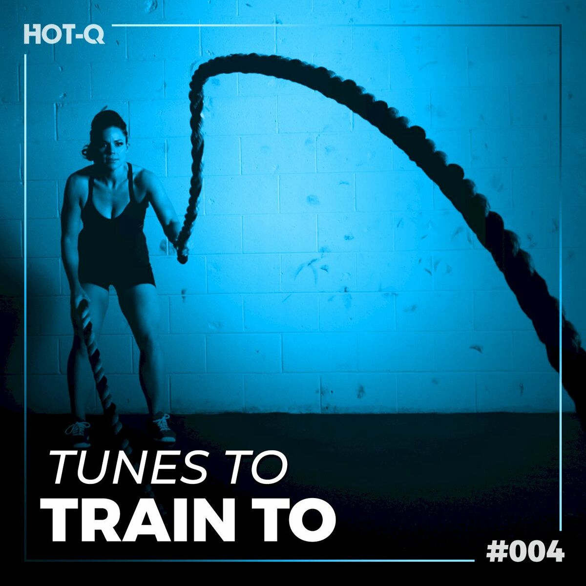 Album cover of Tunes To Train To 004