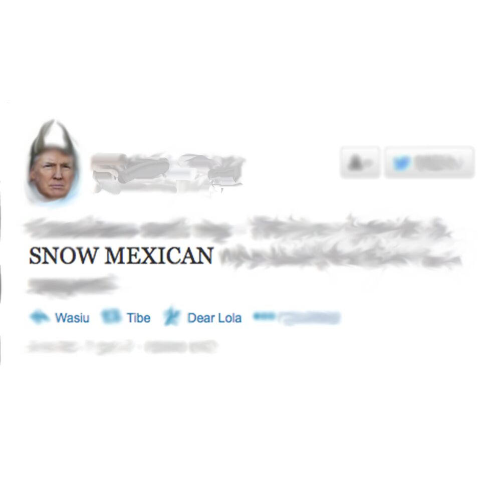 Picture of Snow Mexican