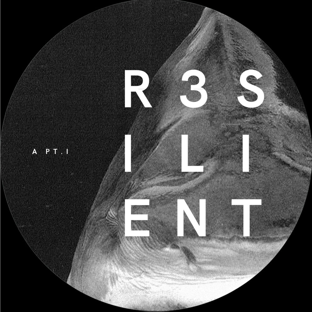Picture of R3silient part 1