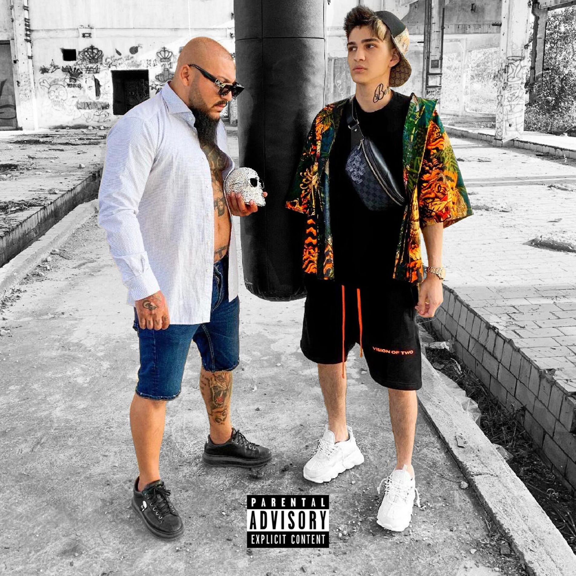 Album cover of Regii Romaniei