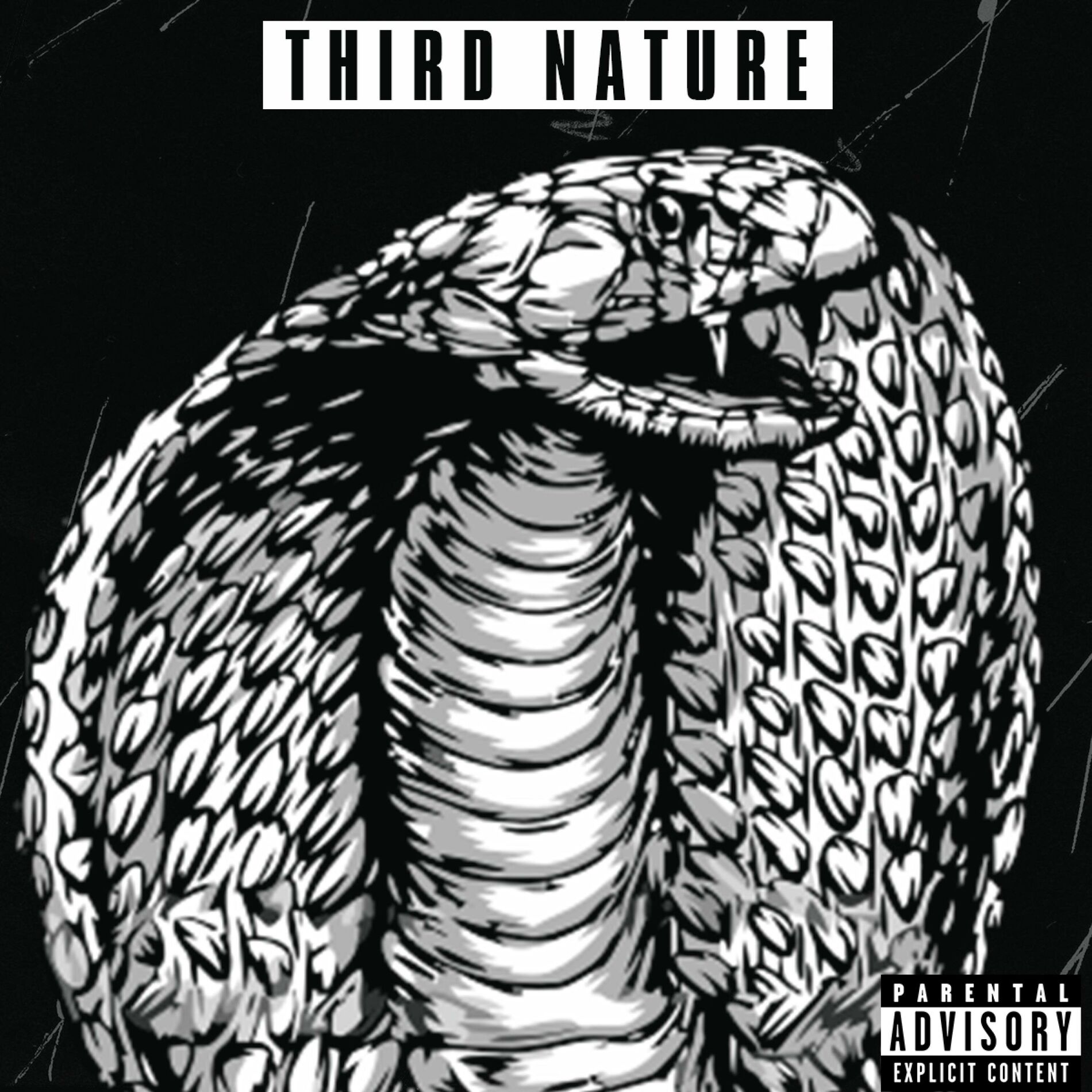 Album cover of THIRD NATURE