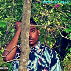 Cover of #CatchMyVibe