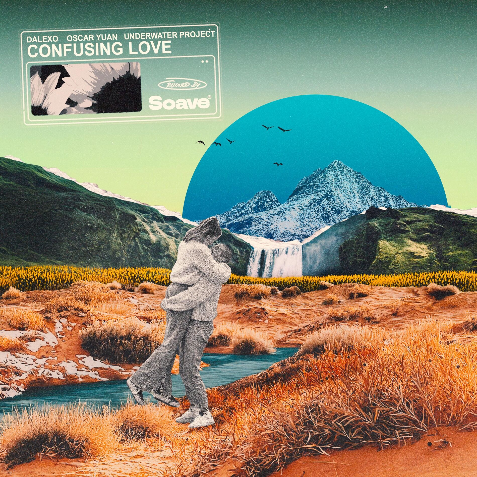 Album cover of Confusing Love
