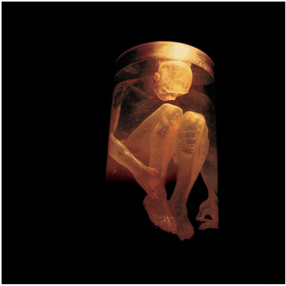 Picture of Nothing Safe - The Best Of The Box