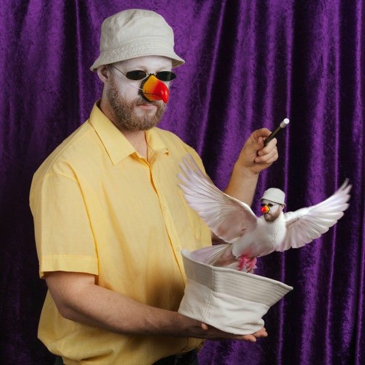 Album cover of Tiger müssen fliegen