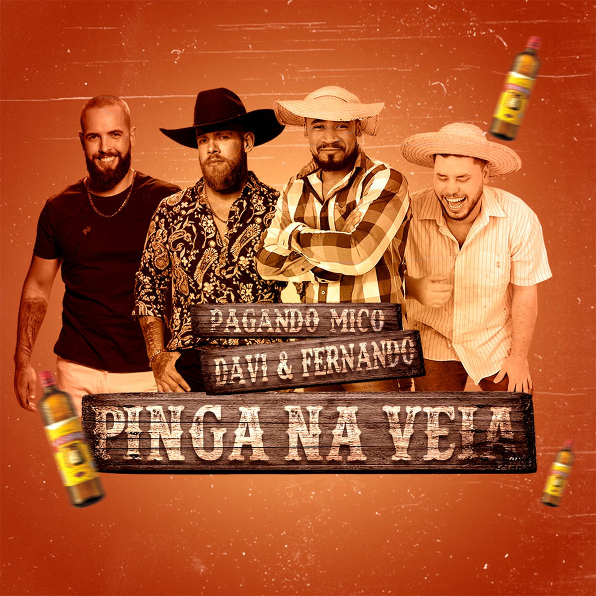 Album cover of Pinga na Veia