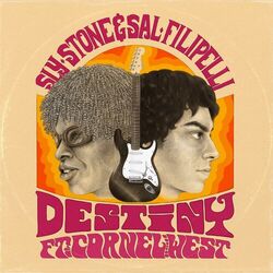 Cover of Destiny