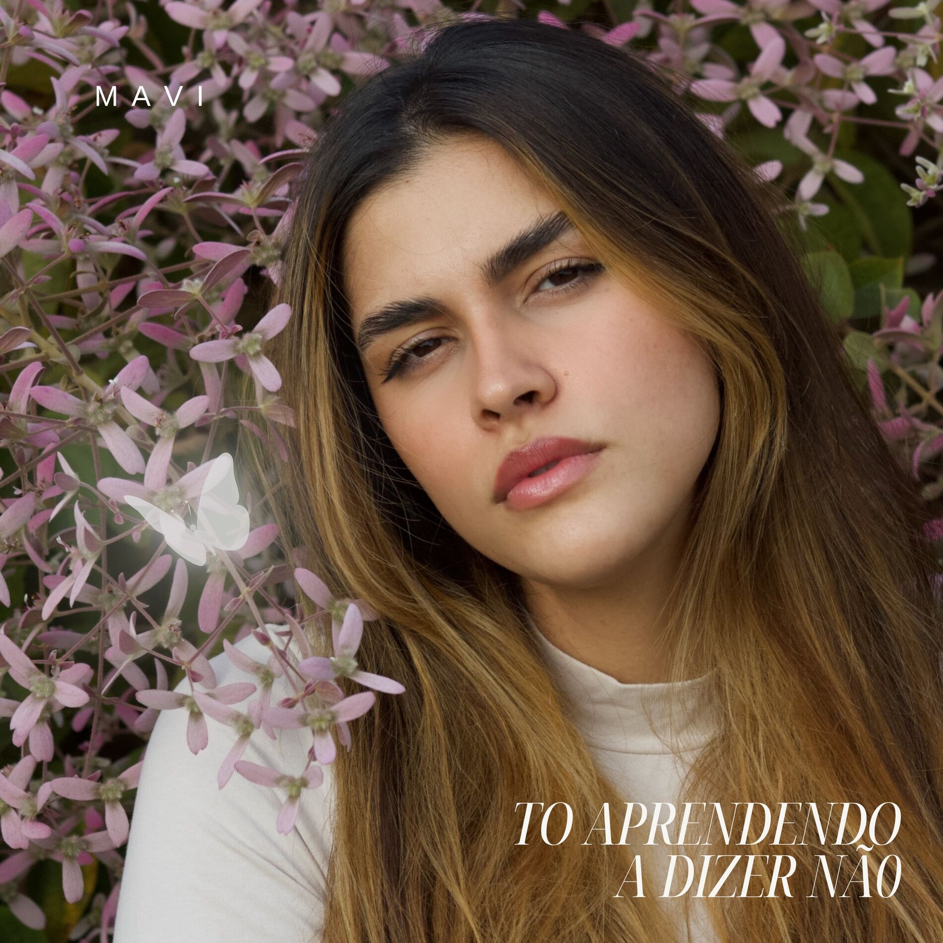 Album cover of Tô Aprendendo a Dizer Não