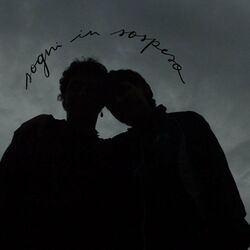 Cover of Sogni in sospeso