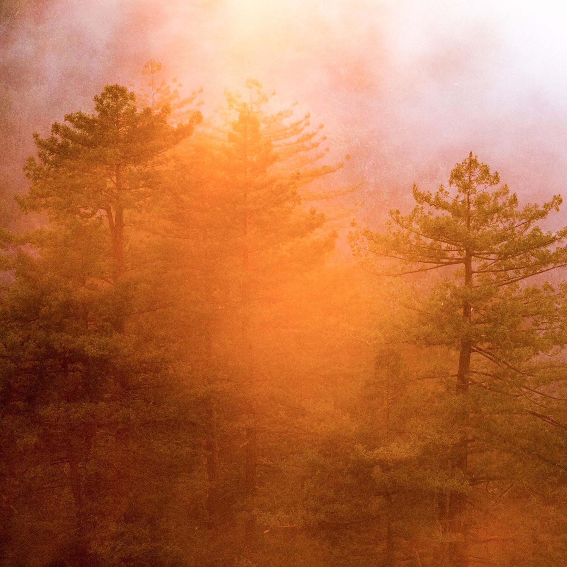 Album cover of Gold