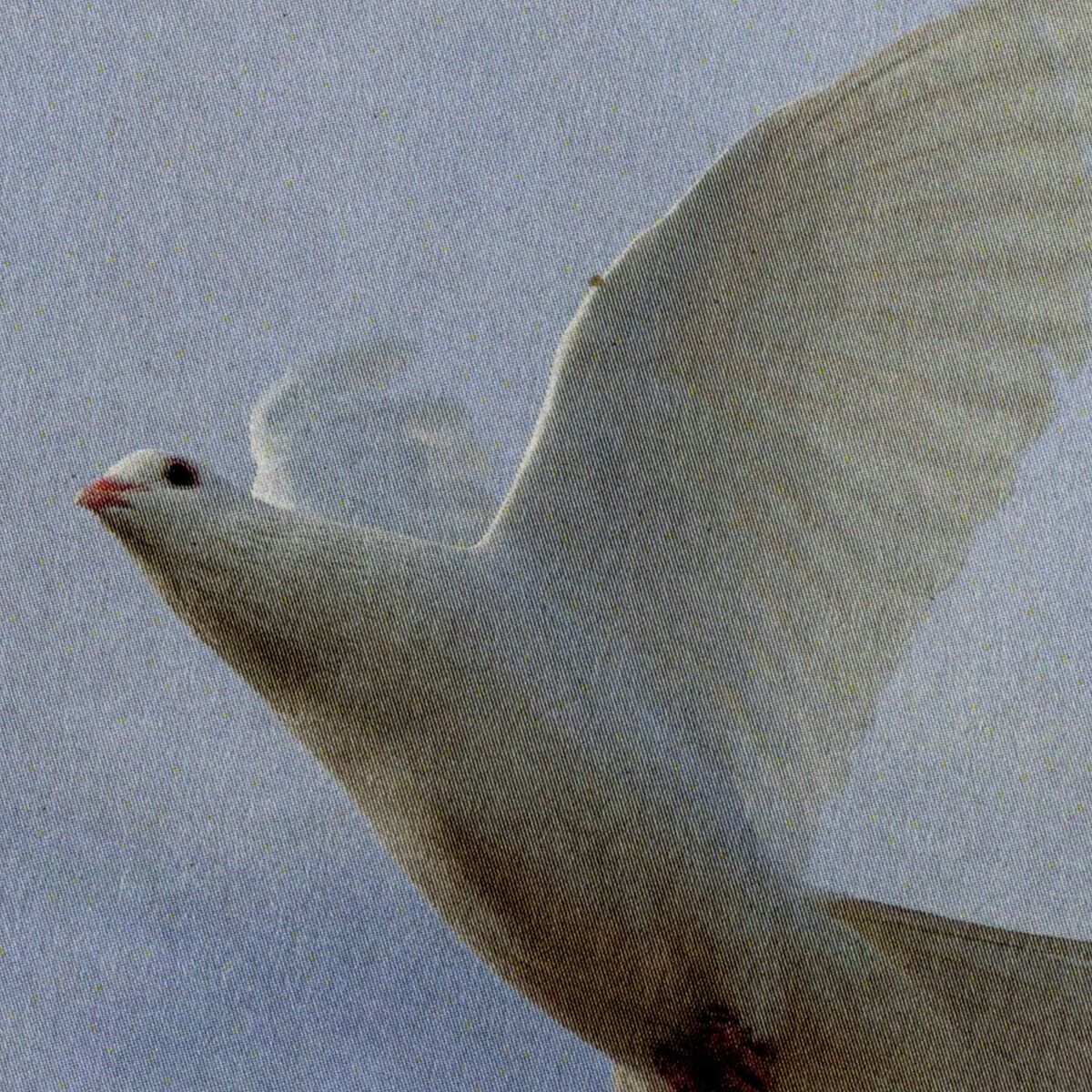 Album cover of Träum von dir