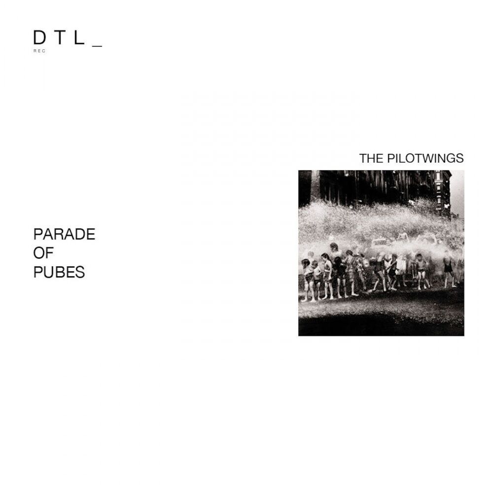 Picture of Parade Of Pubes