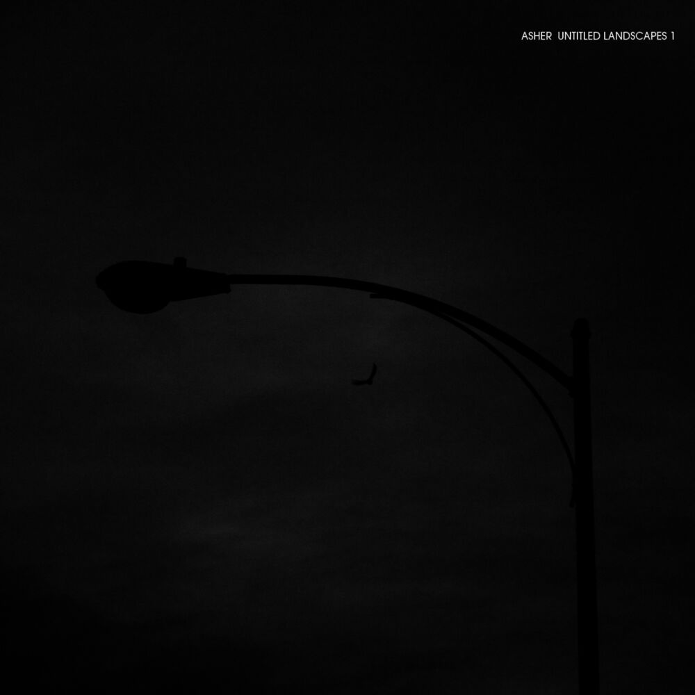 Picture of Untitled Landscapes 1