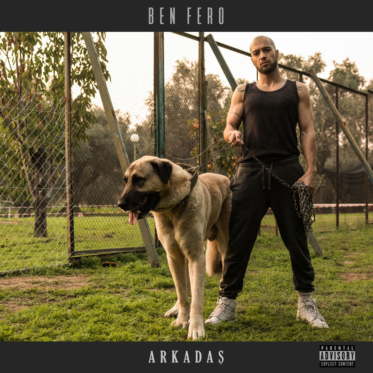 Album cover of Arkadaş