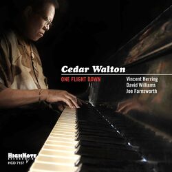 Cover of One Flight Down