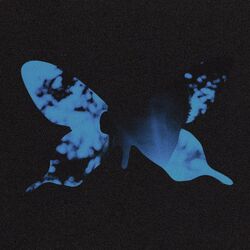 Cover of Reminders