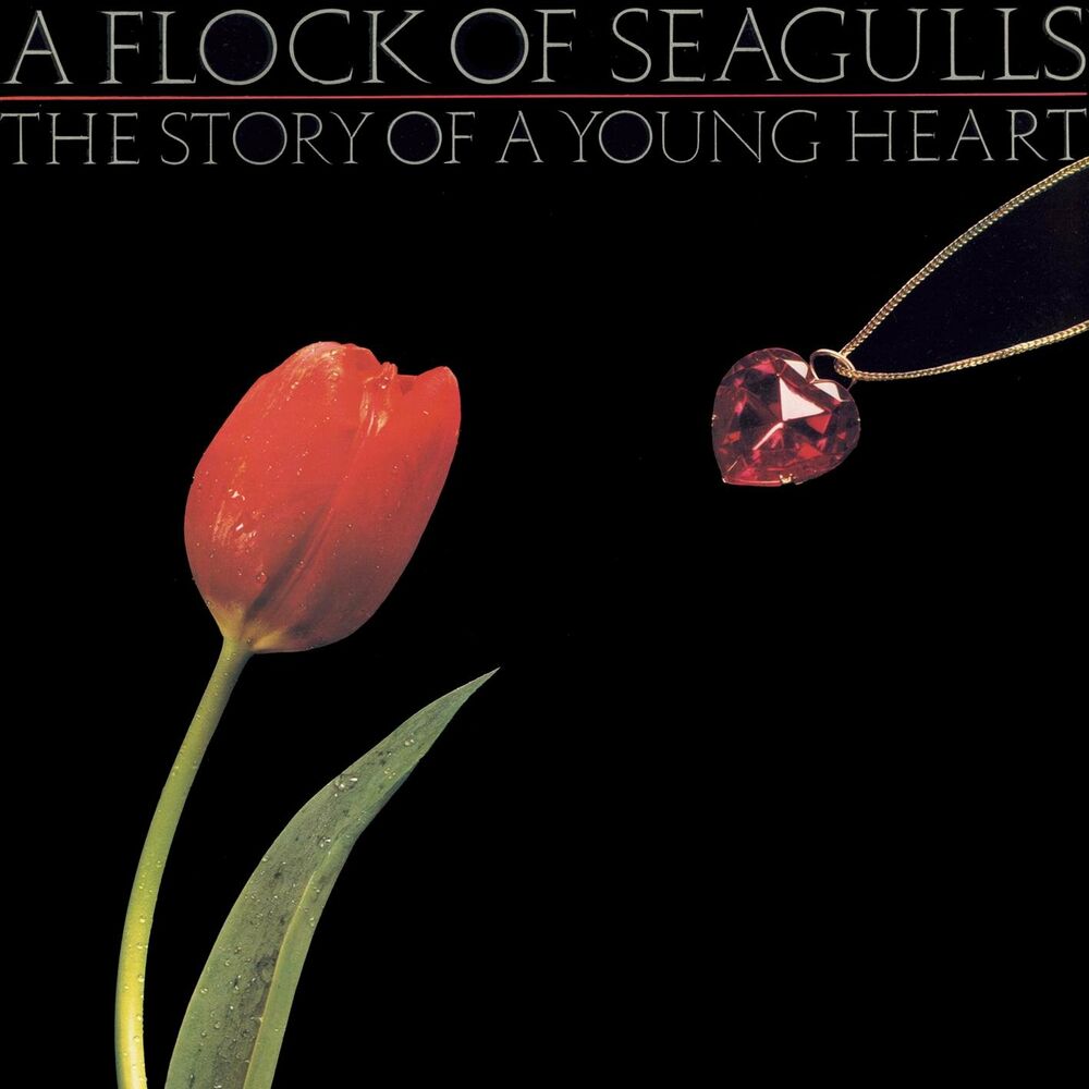 Picture of The Story Of A Young Heart
