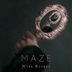 Cover of Maze