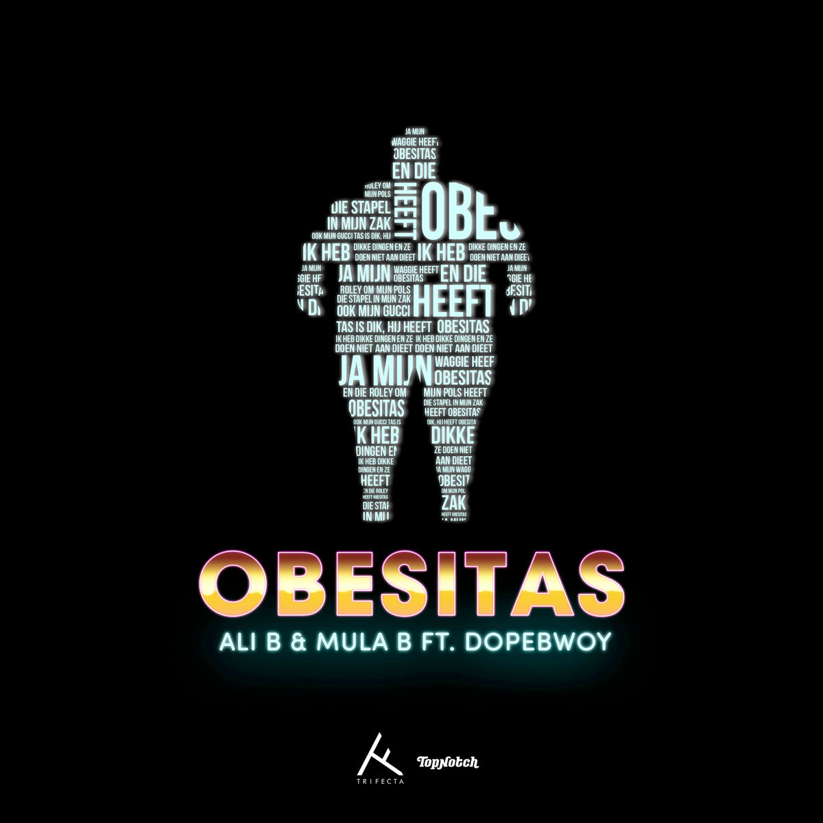 Album cover of Obesitas