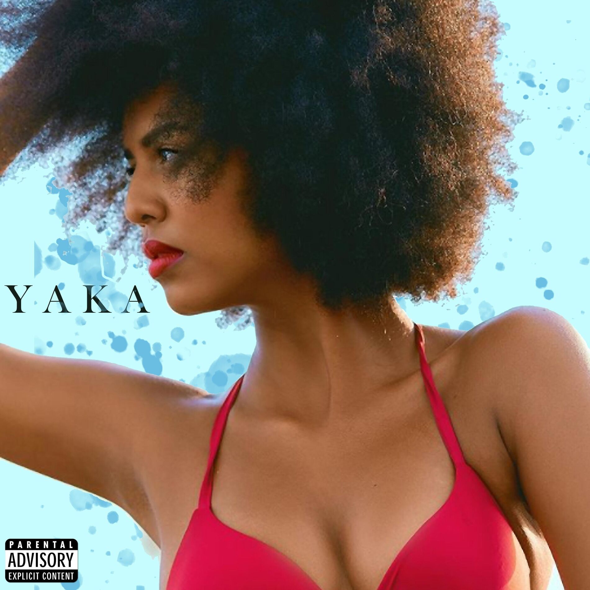 Album cover of YAKA