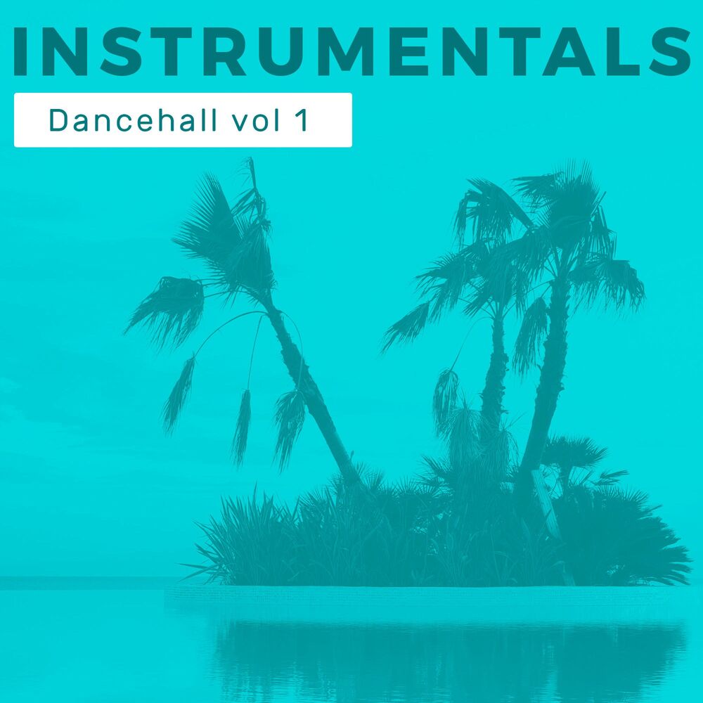 Picture of Dancehall Instrumentals vol 1