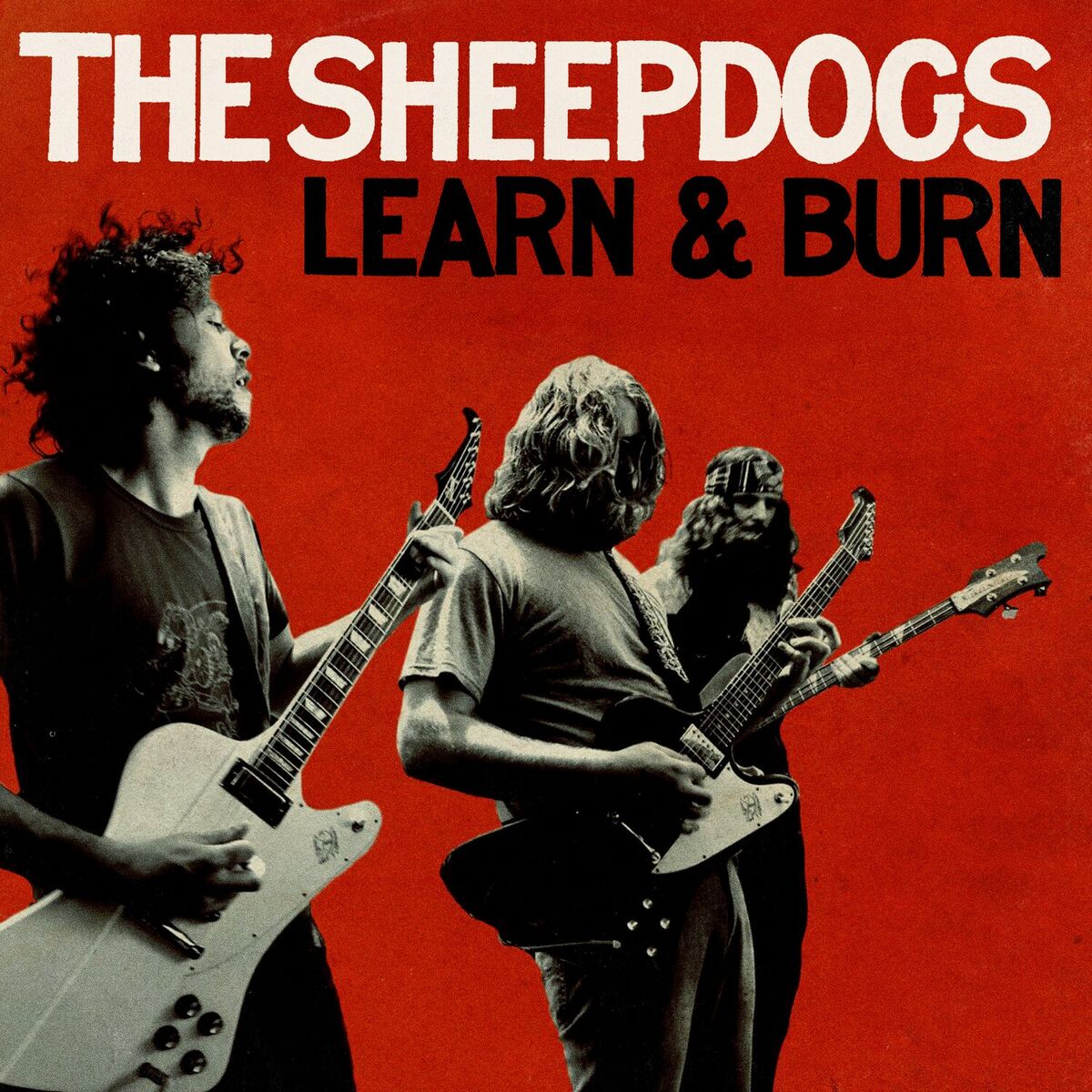 Album cover of Learn & Burn (Deluxe)