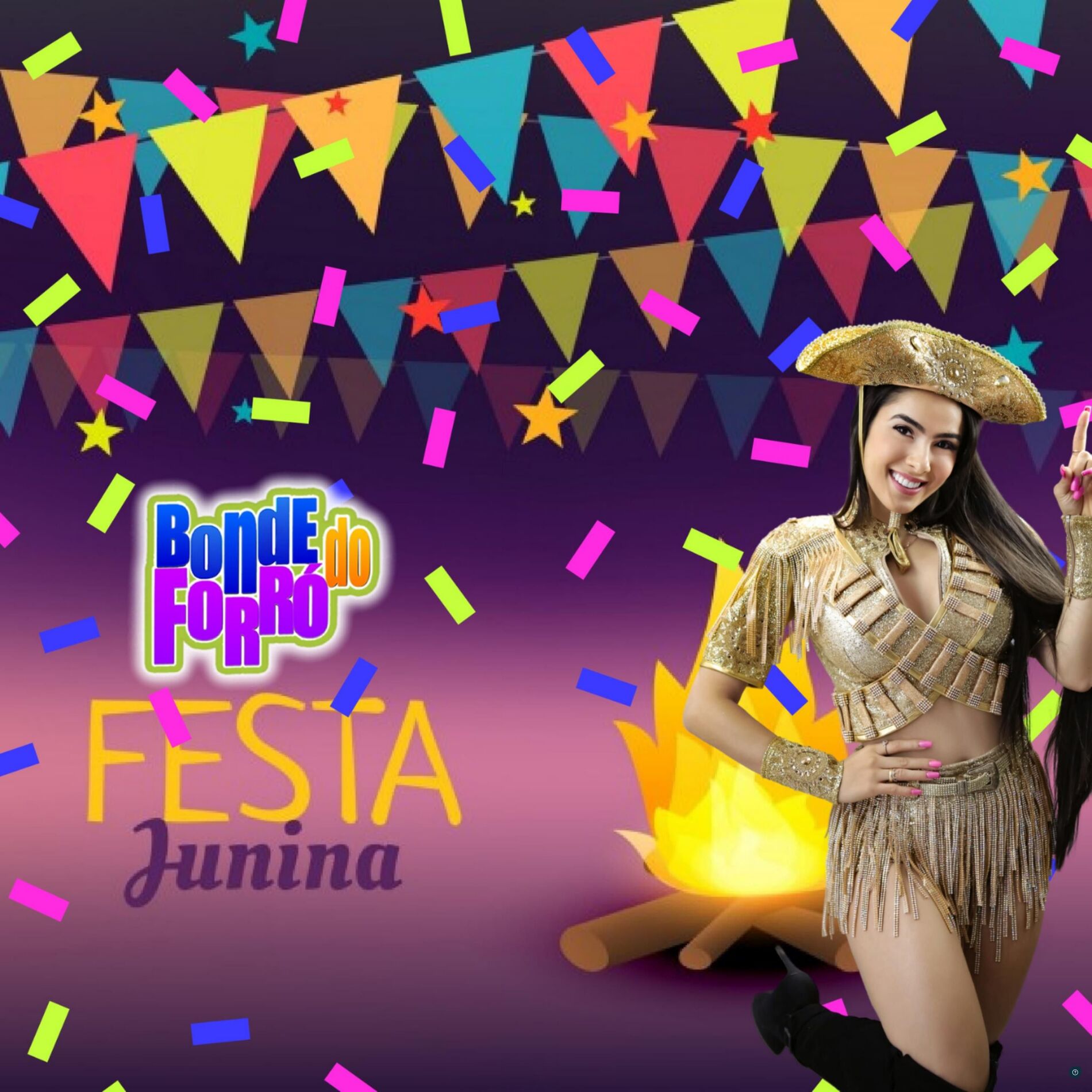 Album cover of Festa Junina