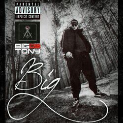 Cover of B.I.G