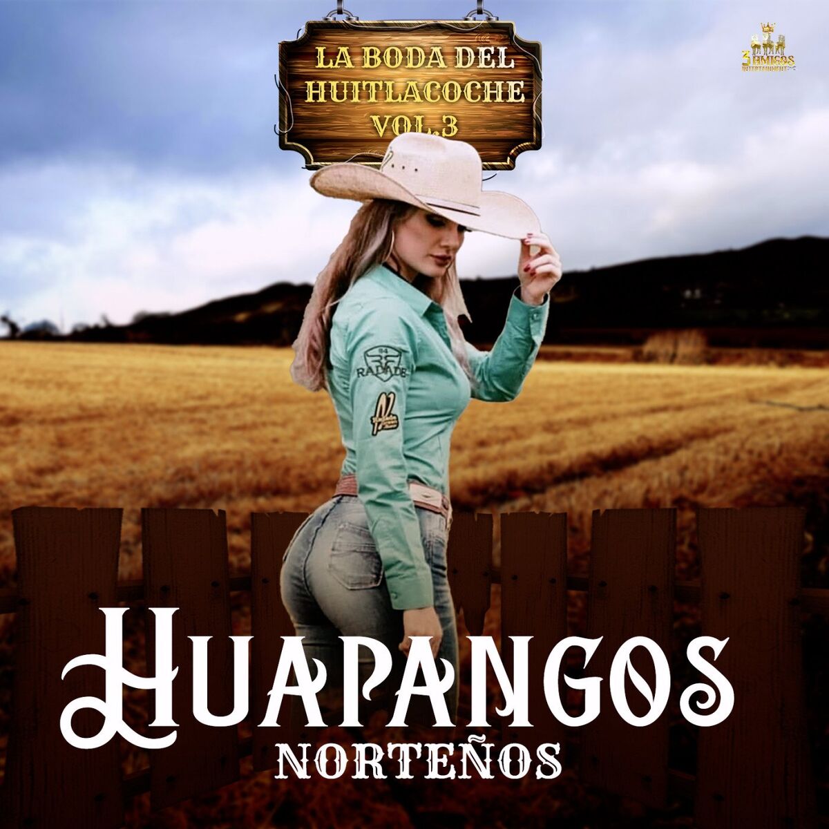 Album cover of La Boda Del Huitlacoche Vol. 3