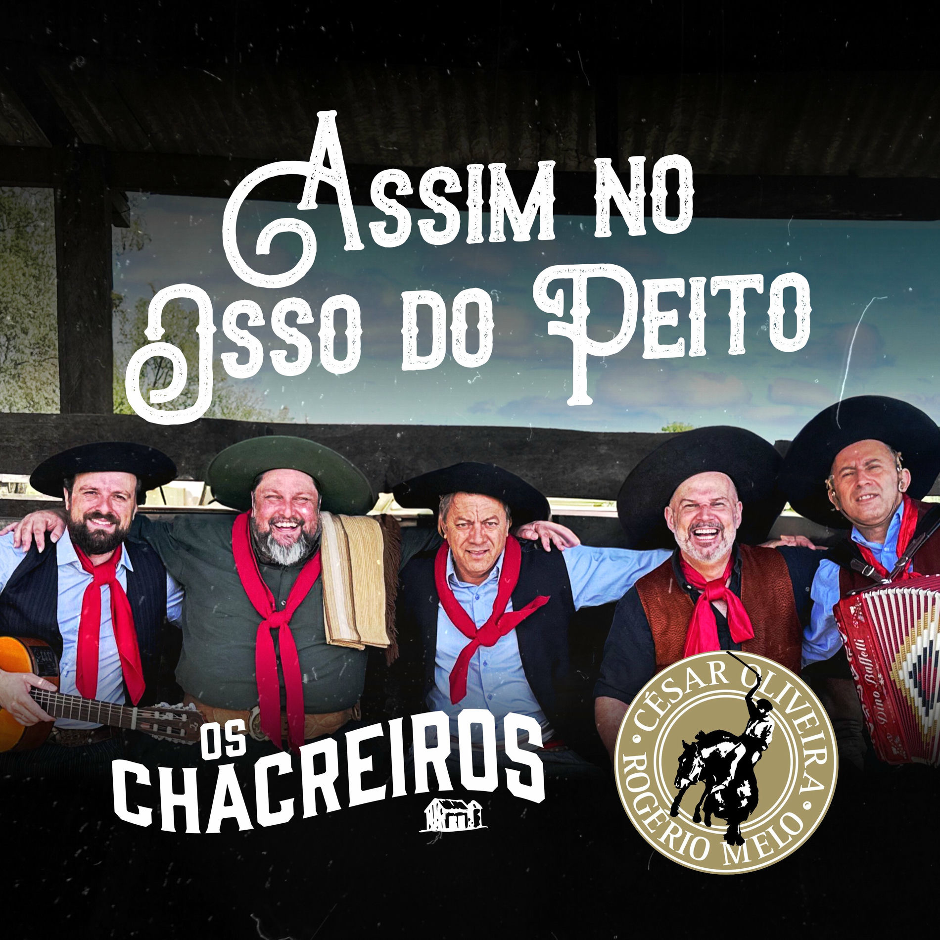 Album cover of Assim no Osso do Peito