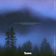 The Meadow by Avi Snow album cover