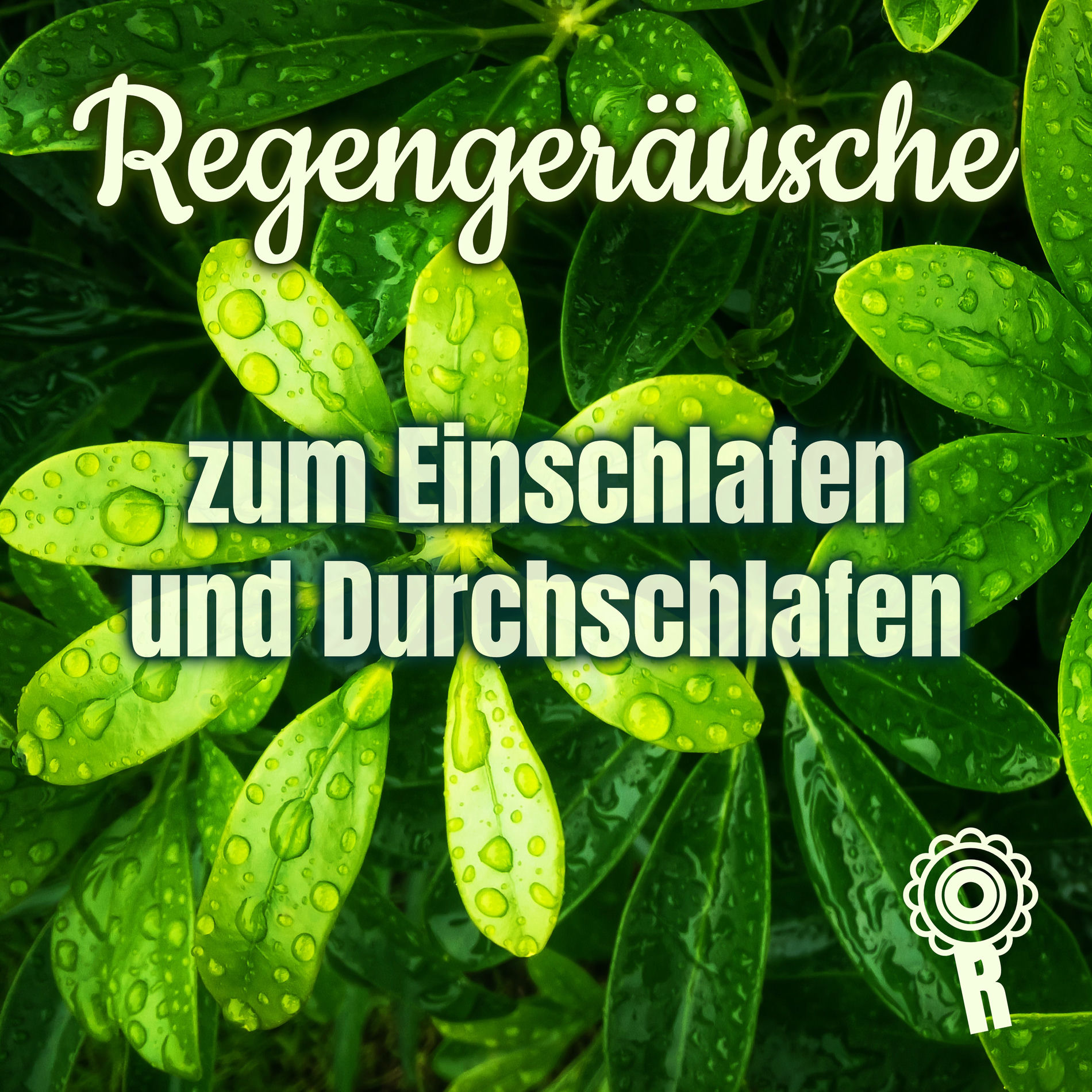 Album cover of Regengeräusche zum Einschlafen und Durchschlafen - Teil 01