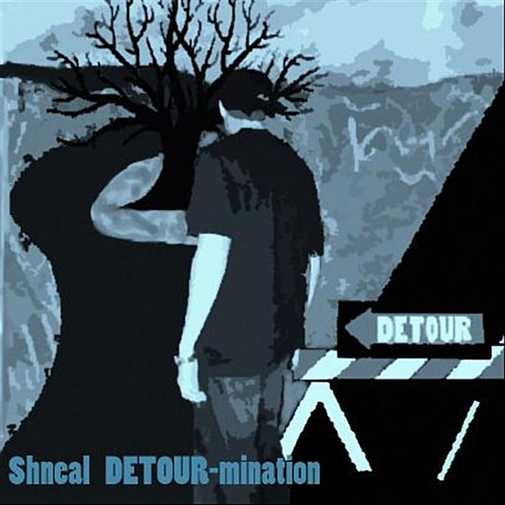 Picture of Detour-mination
