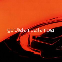Cover of Temper Temper