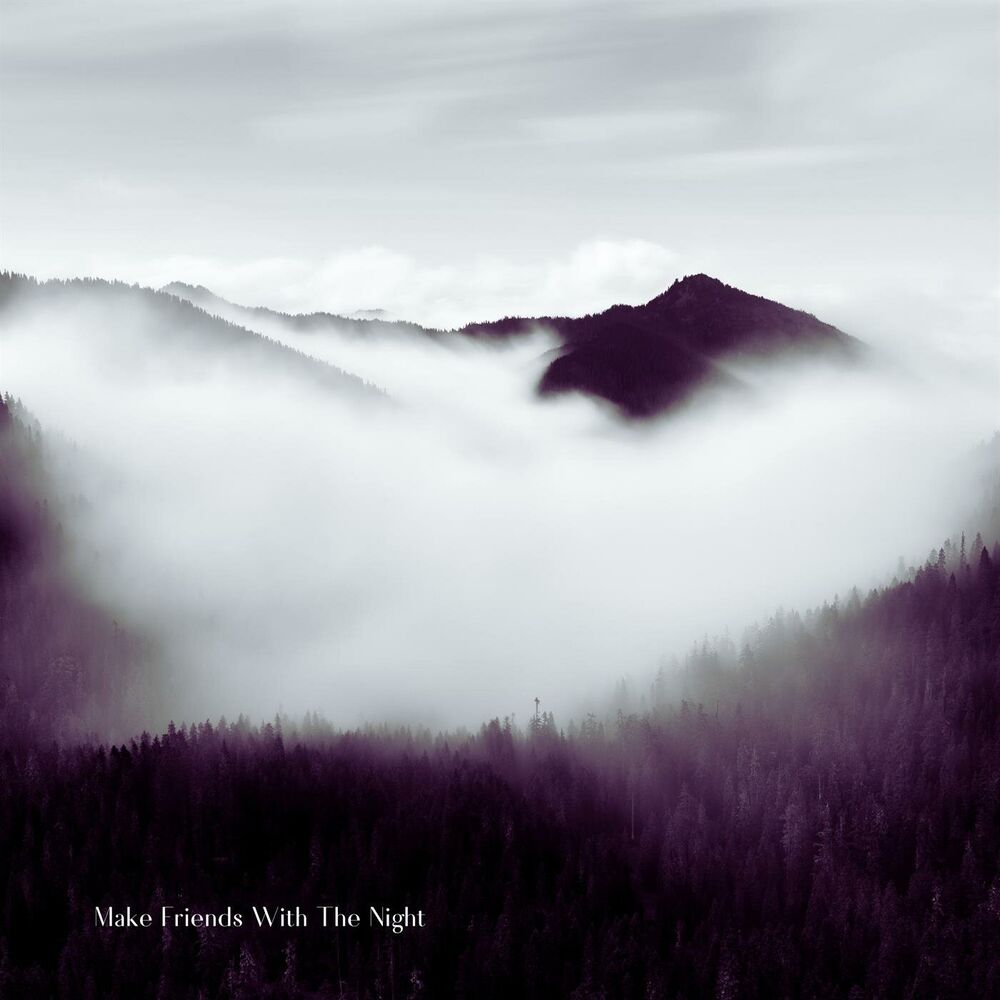 Picture of Make Friends with the Night
