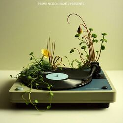 Cover of In the Bedroom