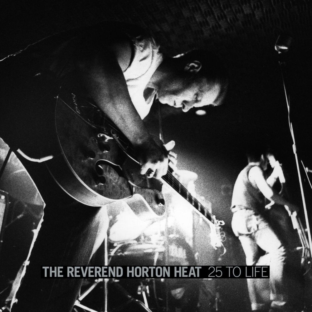 Picture of 25 to Life: Live