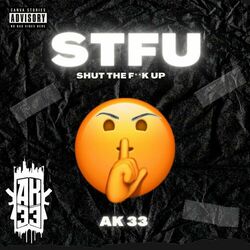 Cover of STFU