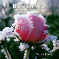 Cover of Roses de Cristal