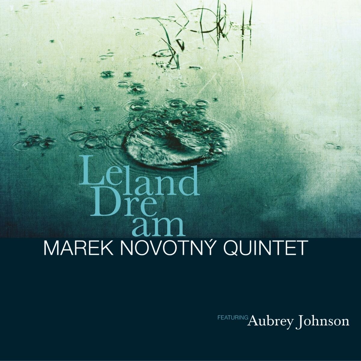 Album cover of Leland Dream