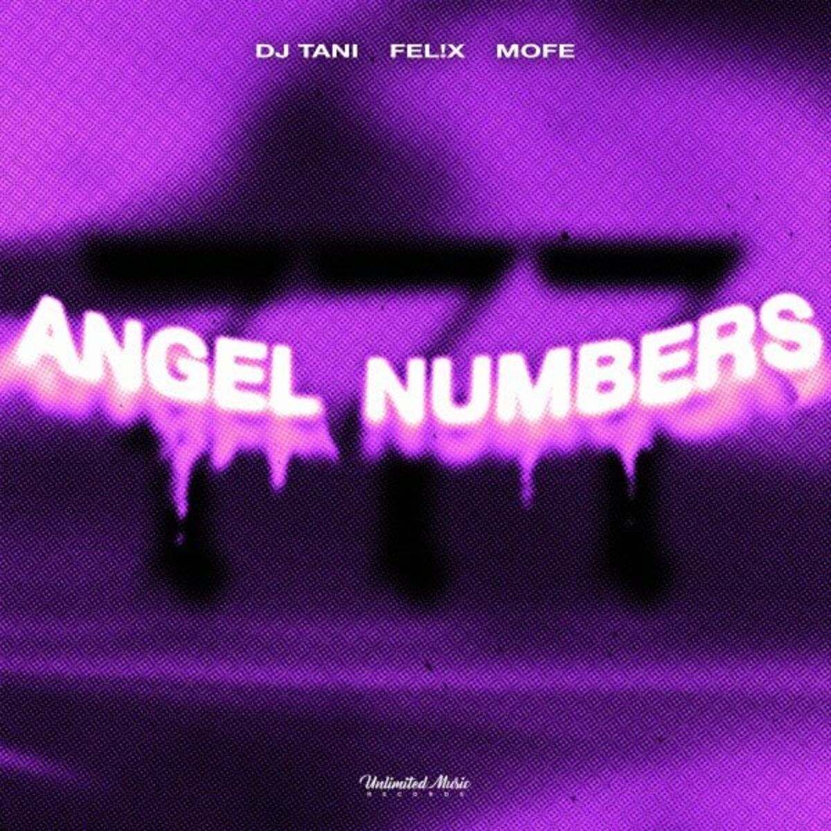 Album cover of Angel Numbers