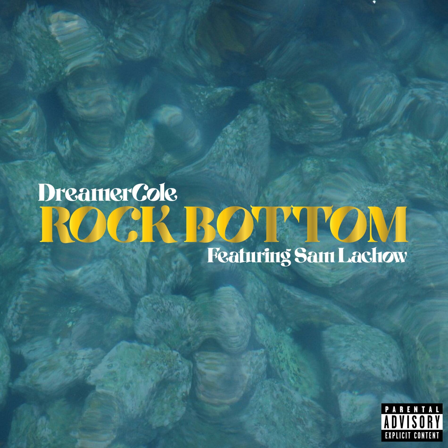 Album cover of Rock Bottom (feat. Sam Lachow)