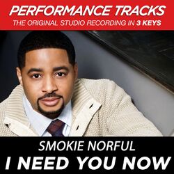 Cover of I Need You Now (Performance Tracks)