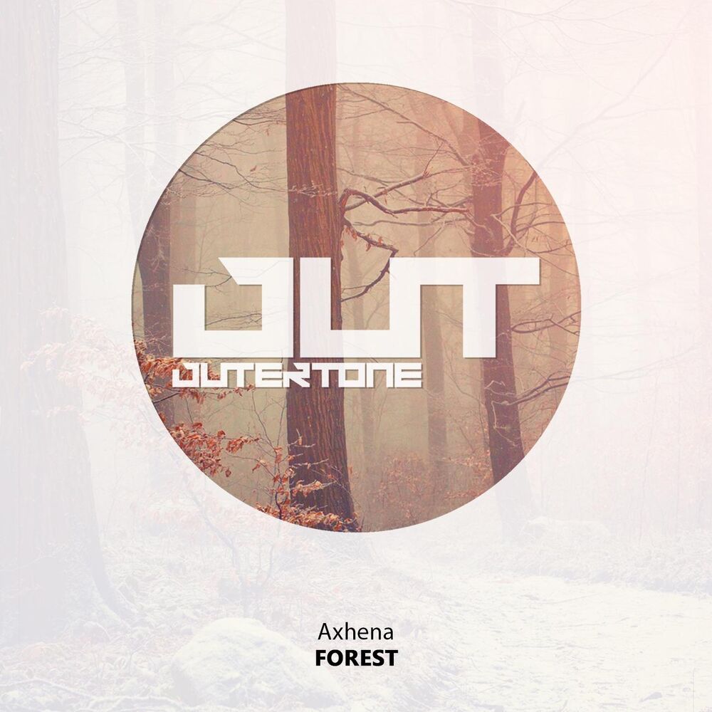 Picture of Forest