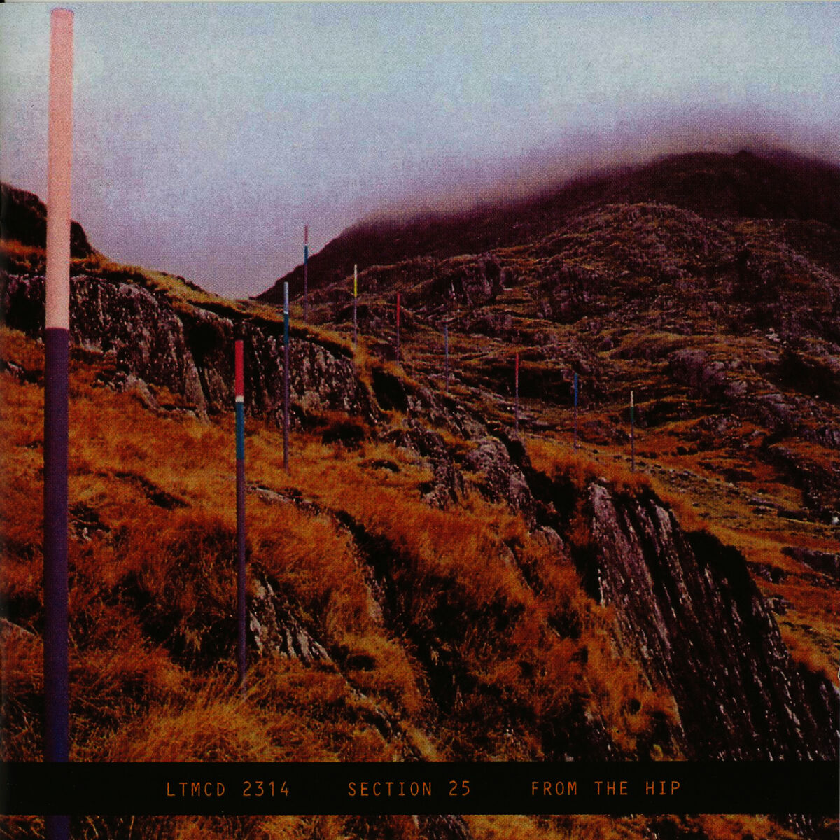 Album cover of Looking from a Hilltop