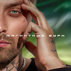 Cover of Магнитные бури