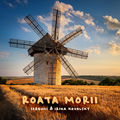 Roata Morii