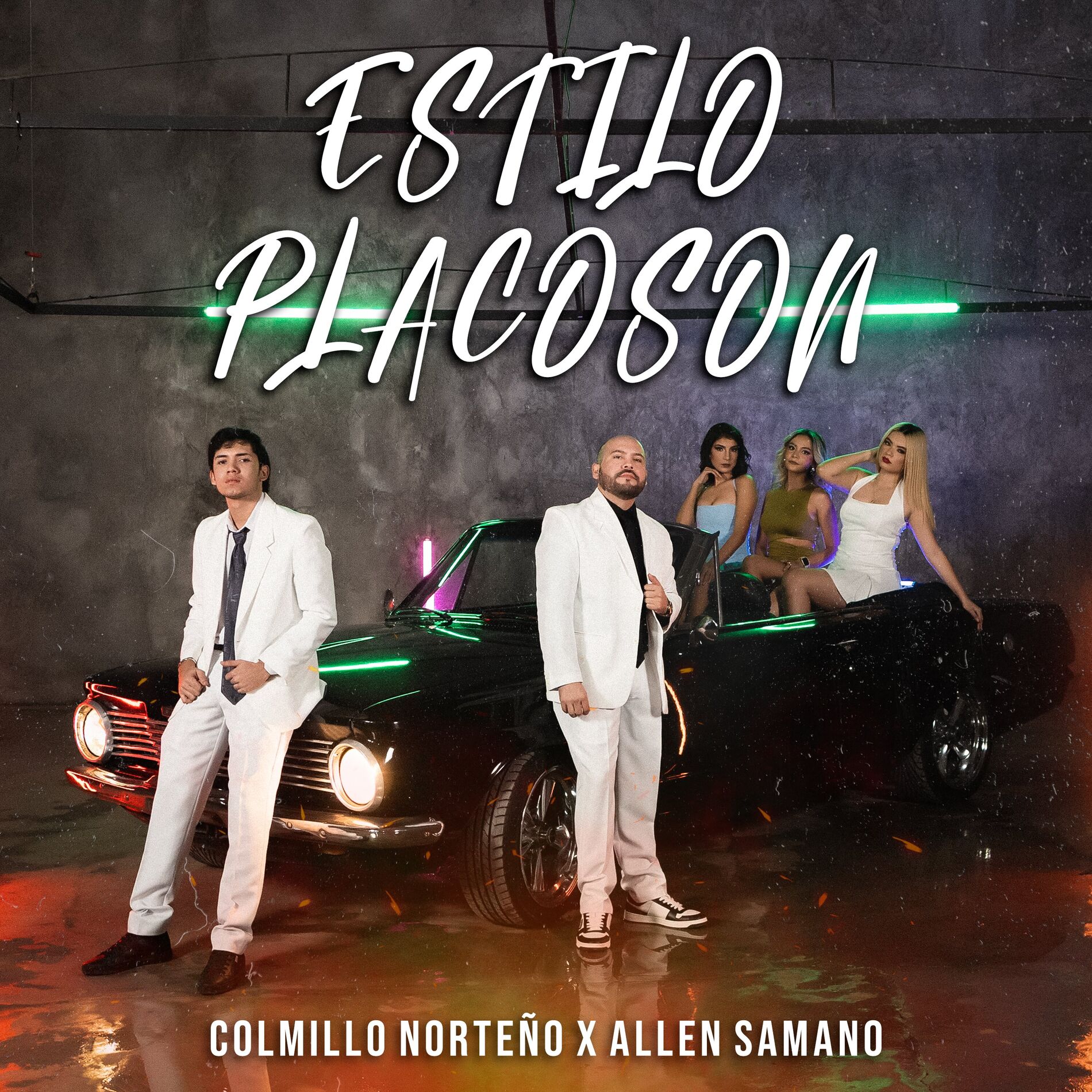 Album cover of Estilo Placoson